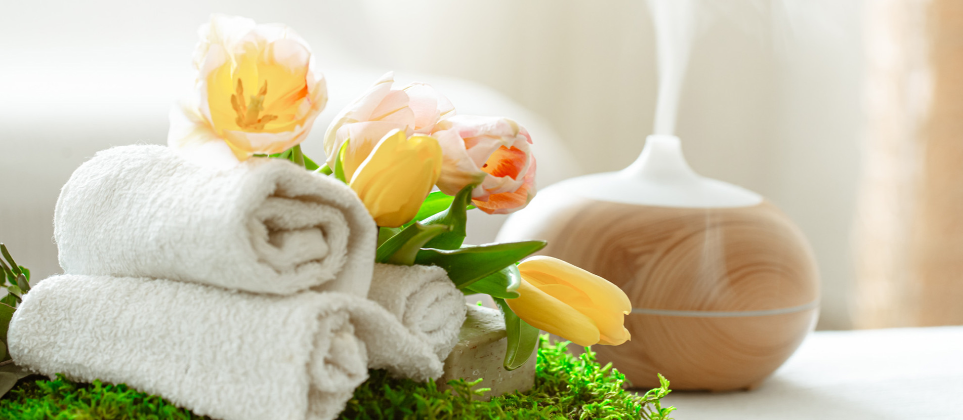 Contact PVM Ayurveda